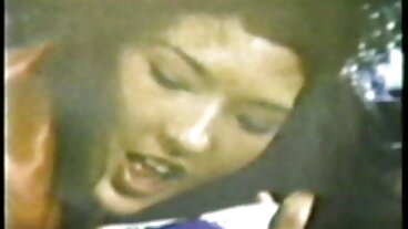 브랜디 사랑 스프레드 넓은 4 수탉